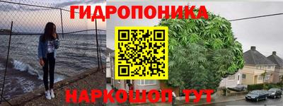 a pvp Дубна