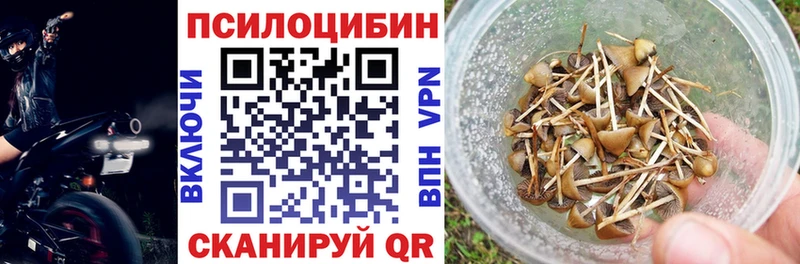 Галлюциногенные грибы Psilocybe Фролово