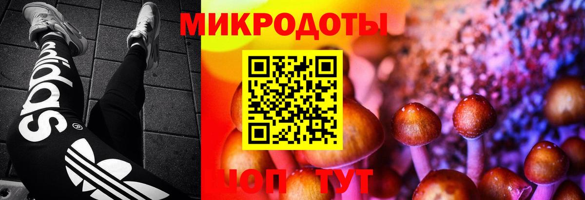 Галлюциногенные грибы мицелий Фролово